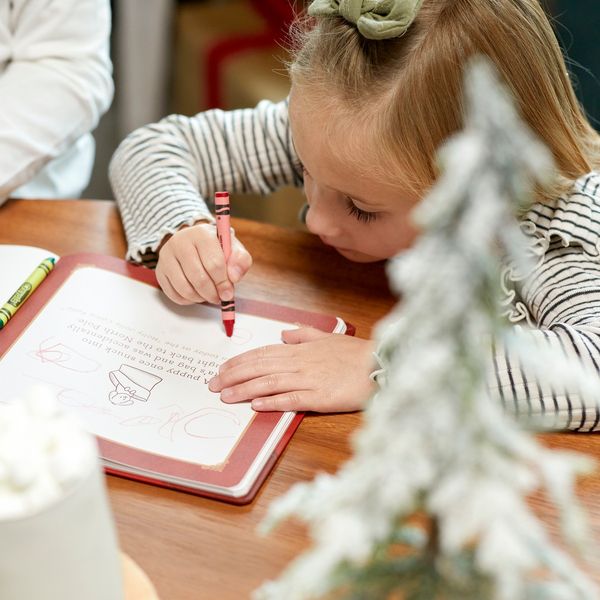 Santa's Kindness Ornament and Journal