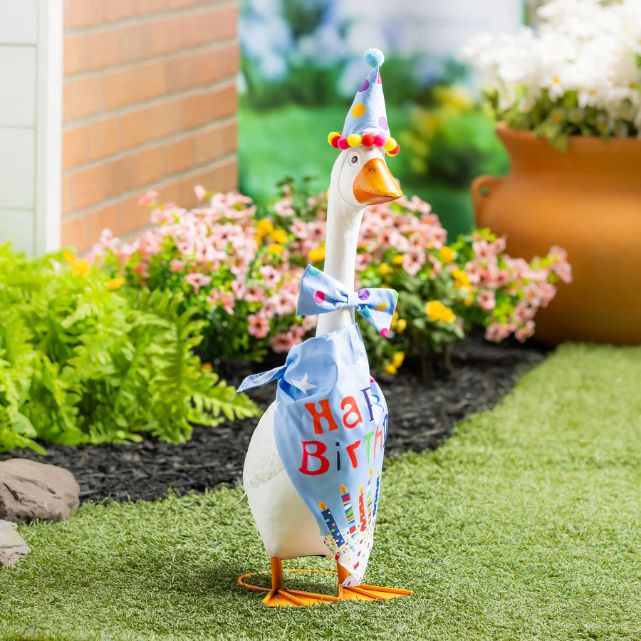 Birthday Boy for Giddy the Porch Goose