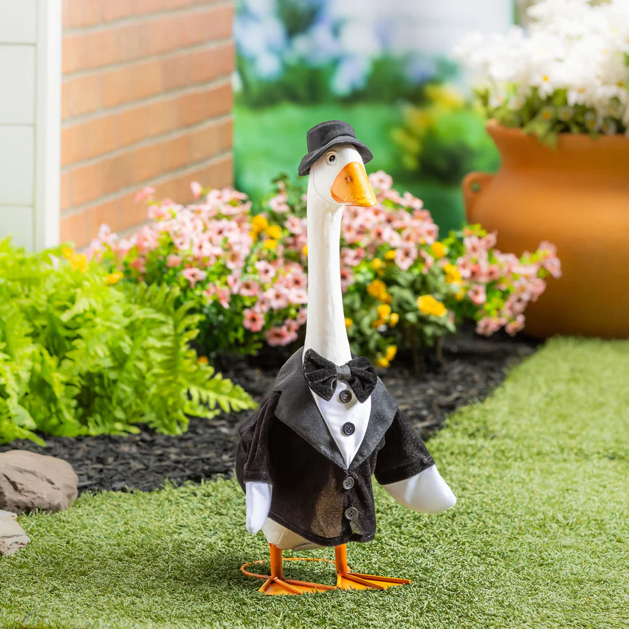Groom for Giddy the Porch Goose