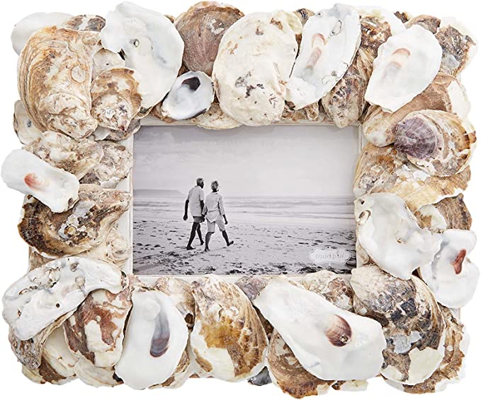4 x 6 Oyster Frame