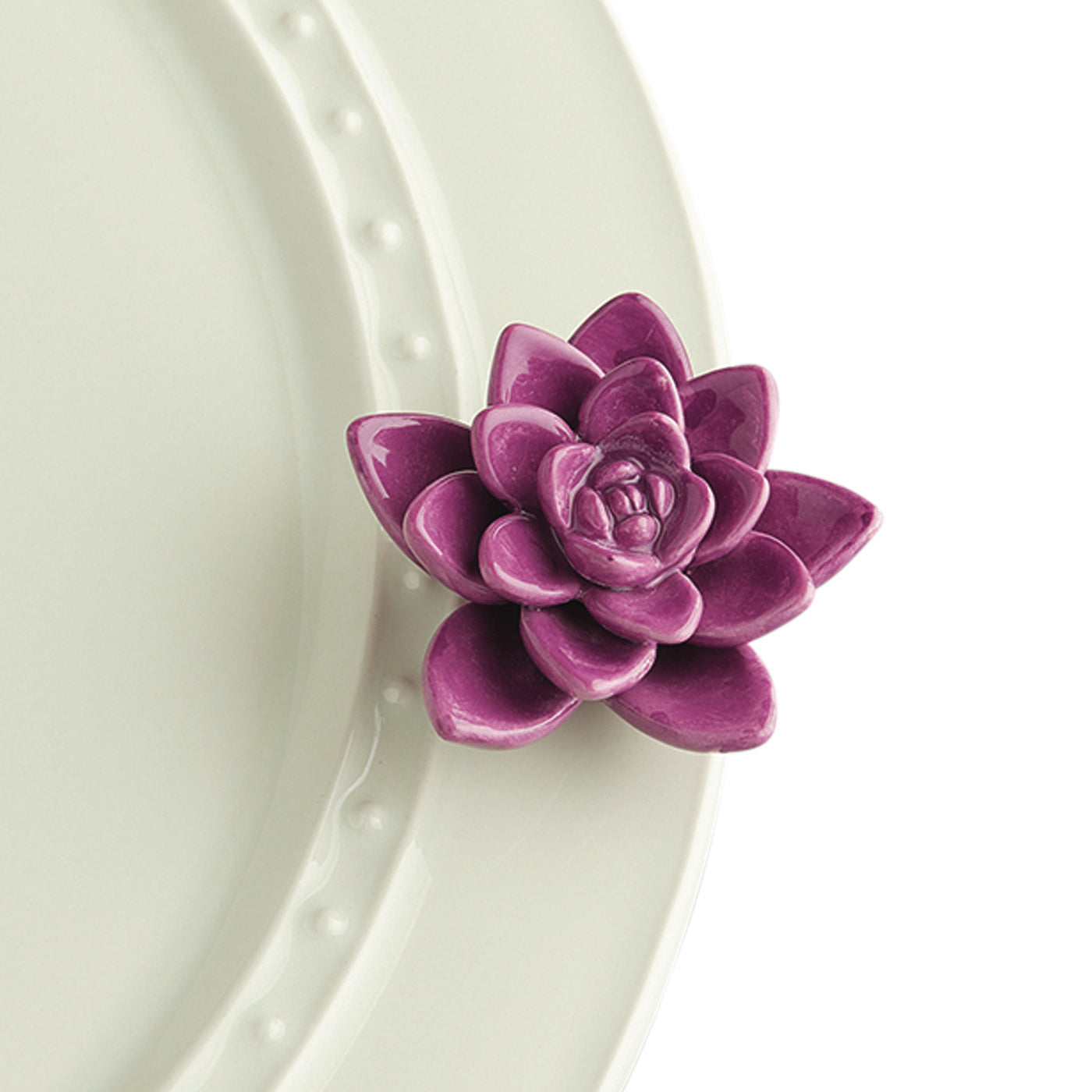 Get Growing Mini- Purple Succulent A243