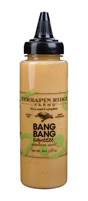 Garnishing Sauce-Squeeze Bottle
