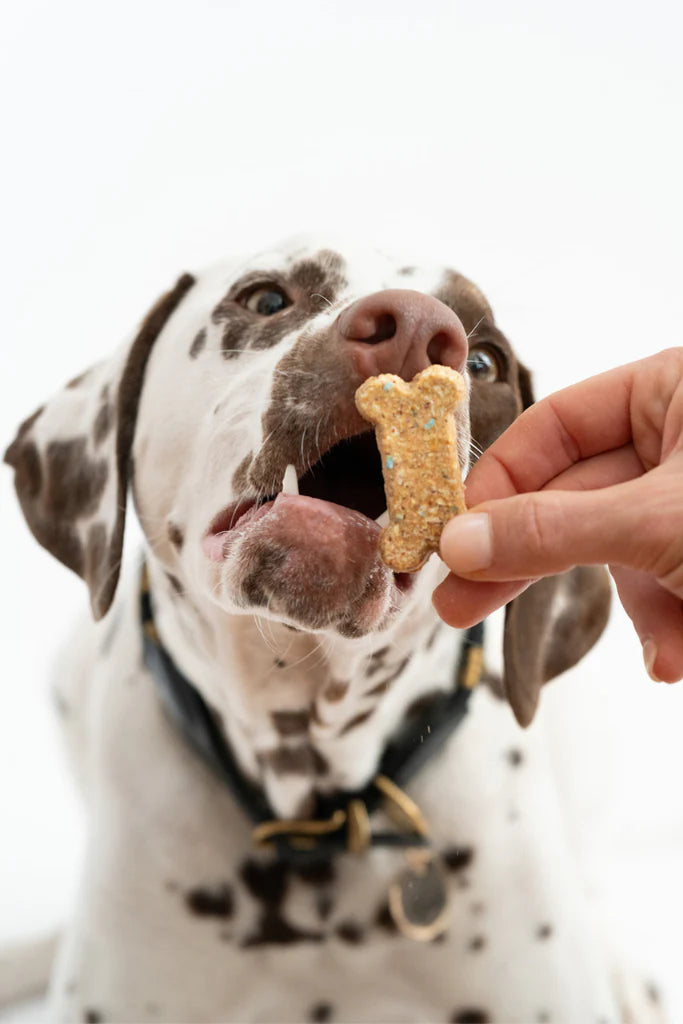 Celebration Cookies