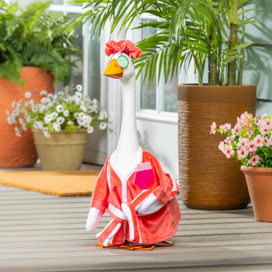 Relaxation Time for Giddy the Porch Goose