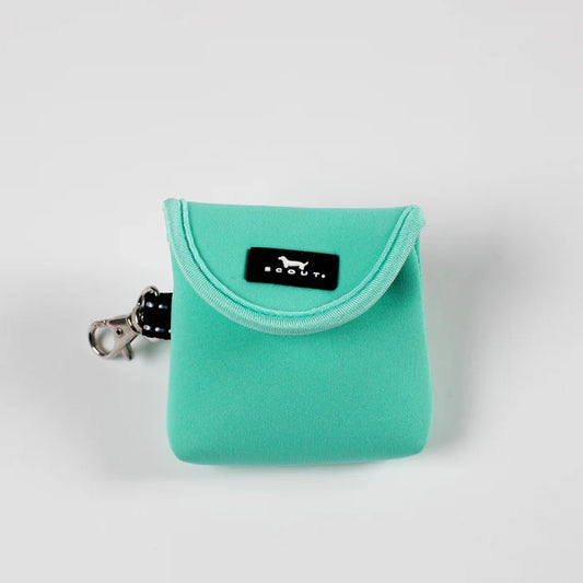 Best Bud-Earbud Case