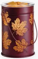 Illumination Fragrance Warmer Fall Leaves