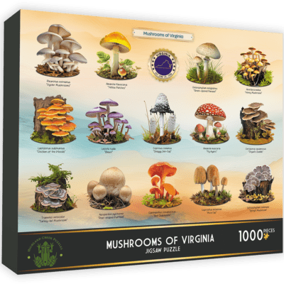 Virginia Jigsaw Puzzle