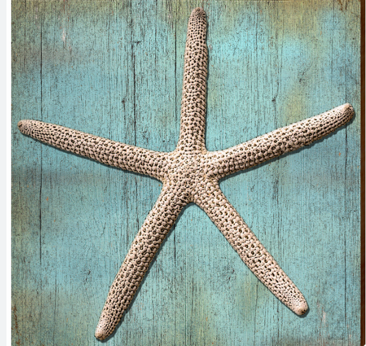 La May Art Coaster