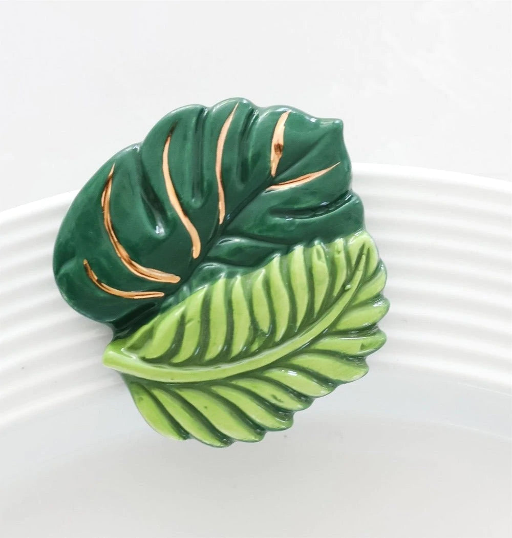 Best Ferns Forever Mini A278