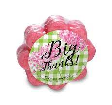 Big Thanks! Soap in a Sponge