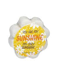 You Are My Sunshine Soap in a Sponge